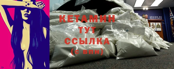гидра Володарск