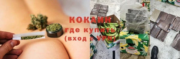 индика Вяземский