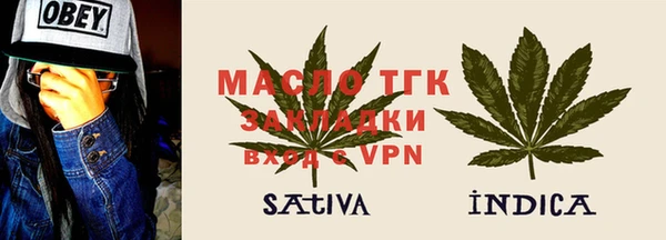 гидра Володарск