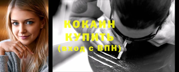 шишки Волосово