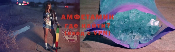 индика Вяземский