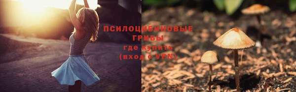 гидра Володарск