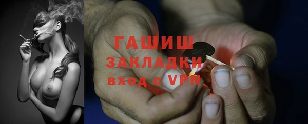 гидра Володарск