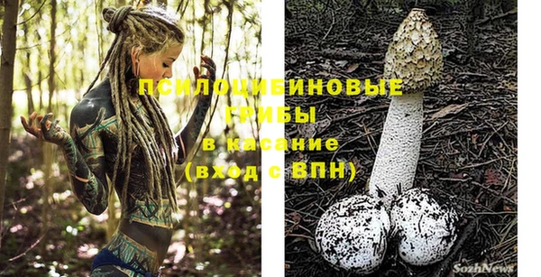 гидра Володарск