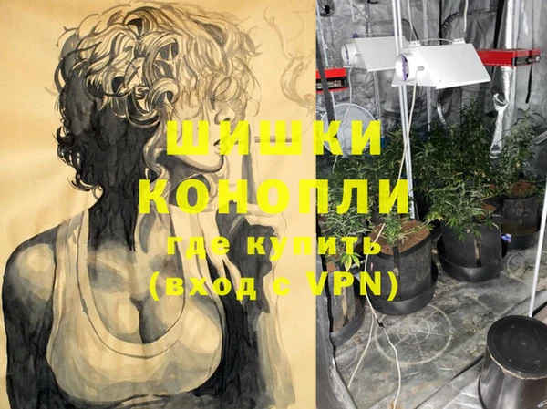 шишки Волосово