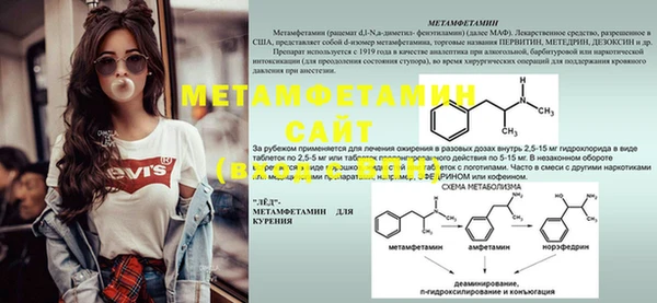 индика Вяземский